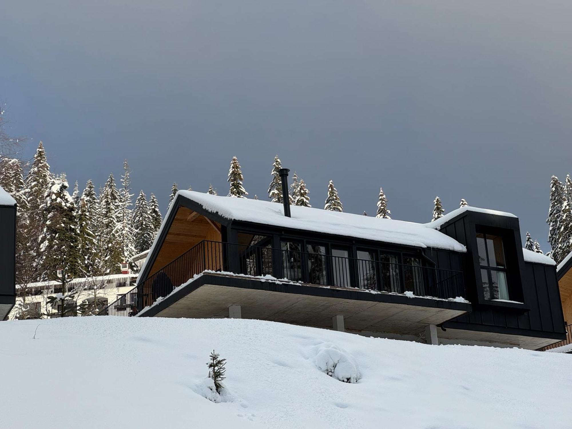 High Five Villas Pamporovo Kültér fotó