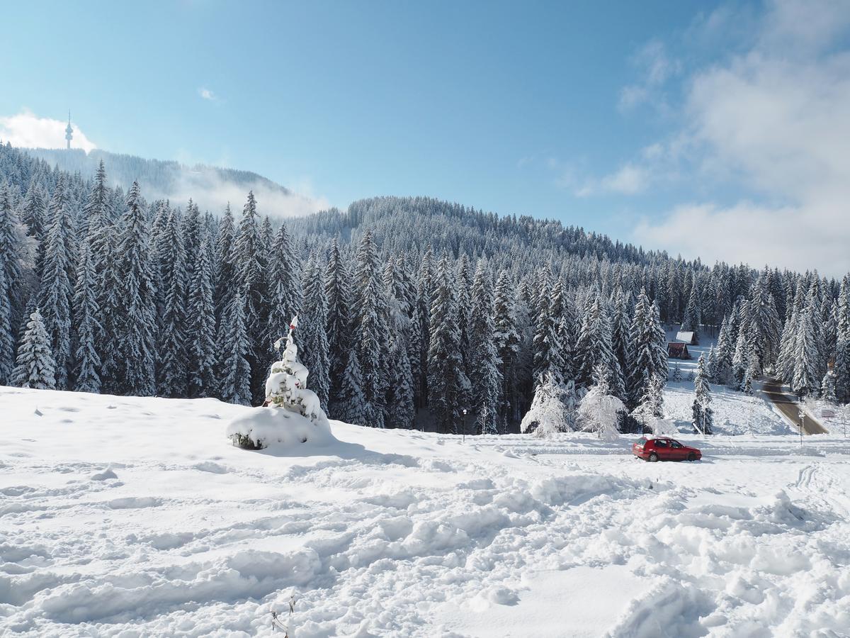 High Five Villas Pamporovo Kültér fotó